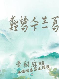 感悟人生百味的短句下一句