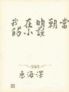 我在明朝当暴君的小说