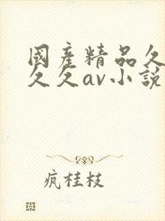 国产精品久久久久久av小说
