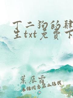 丁二狗的肆意人生txt免费下载