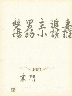 双男主追妻火葬场的小说推荐