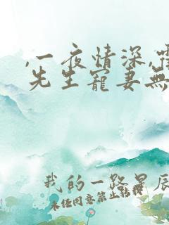 ,一夜情深,霍先生宠妻无度 ,一夜情深,霍先生宠妻无度