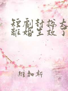 短剧封总太太的离婚生效了在线观看