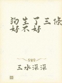 狗生了三条小狗好不好