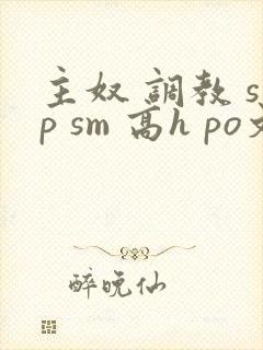 主奴 调教 sp sm 高h po文 小说