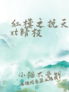 红楼之挽天倾txt精校