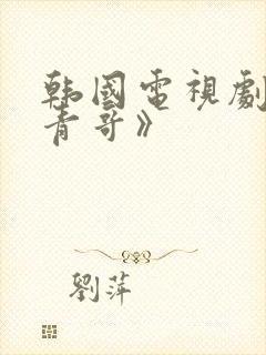 韩国电视剧《柏青哥》