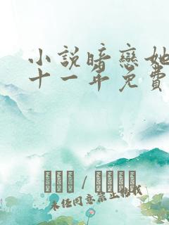 小说暗恋她的第十一年免费看