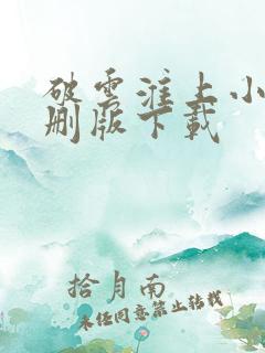 破云淮上小说未删版下载