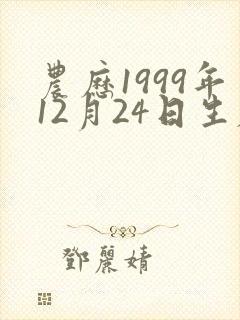 农历1999年12月24日生辰八字