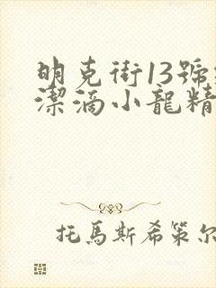 明克街13号纯洁滴小龙精校版全本txt