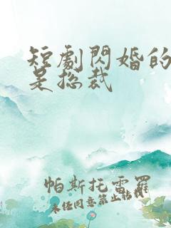 短剧闪婚的老公是总裁