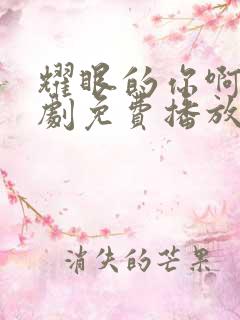 耀眼的你啊电视剧免费播放全集