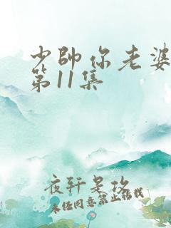少帅你老婆又跑第11集