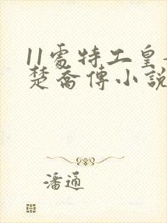 11处特工皇妃楚乔传小说 11处特工皇妃楚乔传小说