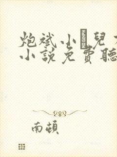 炮斌小苮儿有声小说免费听书