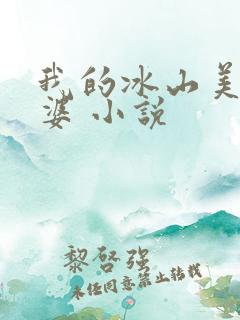 我的冰山美女老婆 小说