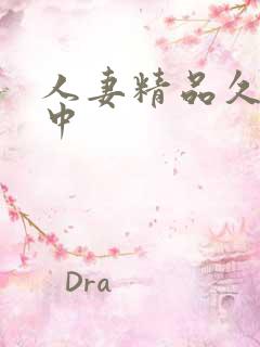 人妻精品久久久中