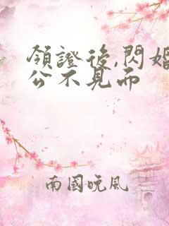 领证后,闪婚老公不见面