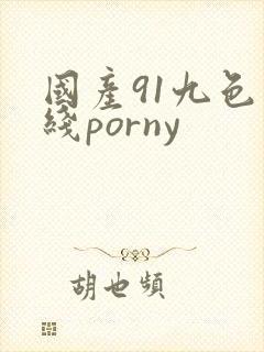 国产91九色在线porny 国产91九色在线porny