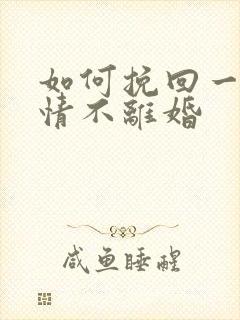 如何挽回一段感情不离婚