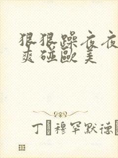 狠狠躁夜夜躁人爽碰欧美
