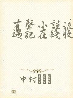 有声小说流氓艳遇记在线收听