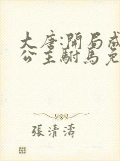 大唐:开局成了公主驸马免费版