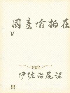 国产偷拍在线av