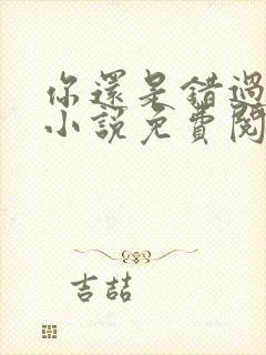 你还是错过了我小说免费阅读无弹窗