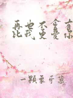 再也不会有人会比我更爱你歌词