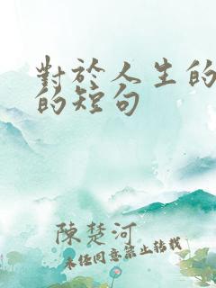 对于人生的感悟的短句
