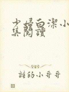少妇白洁小说全集阅读