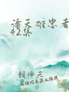 潘天雄忠者无敌42集