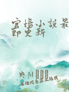 官场小说最新章节更新