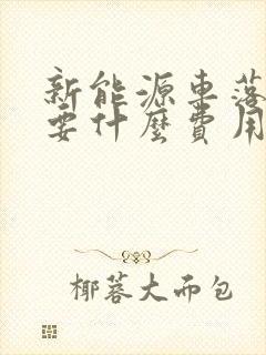 新能源车落地需要什么费用