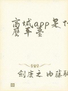 商城app是什么平台