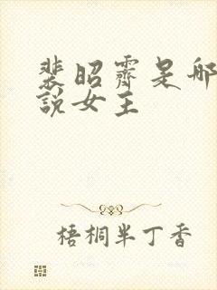裴昭霁是哪本小说女主
