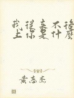 我从来不后悔爱上你是什么歌