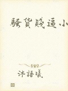 骚货贱逼小说