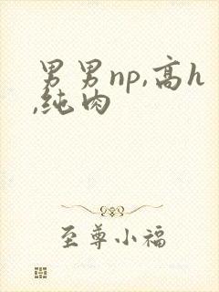 男男np,高h,纯肉