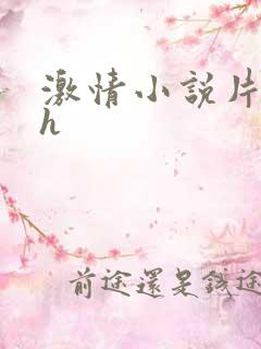 激情小说片段高h
