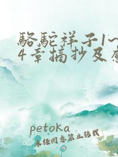 骆驼祥子1~24章摘抄及感悟