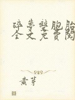碎梦双胞胎小说全文免费阅读