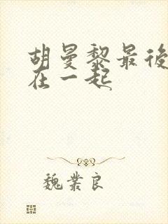 胡曼黎最后和谁在一起