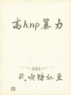高hnp暴力