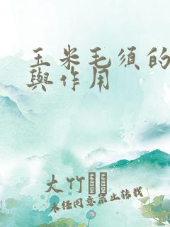 玉米毛须的功效与作用
