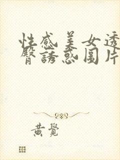 性感美女透明翘臀诱惑图片