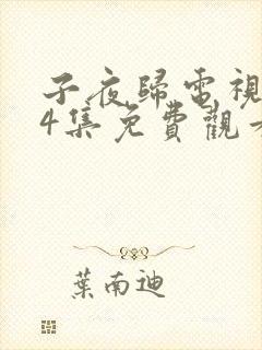 子夜归电视剧34集免费观看全集高清