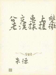 公交车上双乳被老汉揉搓微博